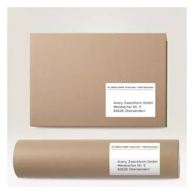Isekleepuv printerisilt AVERY 6601 Valge 10,5x14,8 cm 260 silti