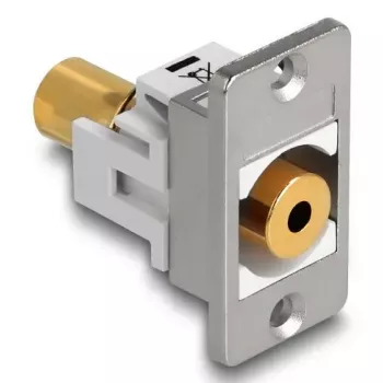 DeLOCK 90884 pistikupesa 3,5 mm Hõbedane Valge Emane