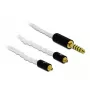 Audio kaabel DeLOCK 85846 1.2m 4.4mm 2x MMCX Valge