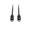 Lindy 1m Thunderbolt 5 kaabel, 80 Gbps, passiivne, isane, isane, 1 m, 80 Gbit/s, must, nikkel