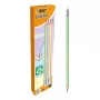 Pliiatsikomplekt TEKA BIC Evolution HB, kuusnurksed puidust pliiatsid, 12 tk pakendis, erinevad värvid