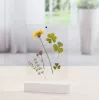 Single picture frame Hama Classic 00057743 Transparent Valge
