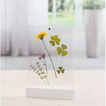 Single picture frame Hama Classic 00057743 Transparent Valge