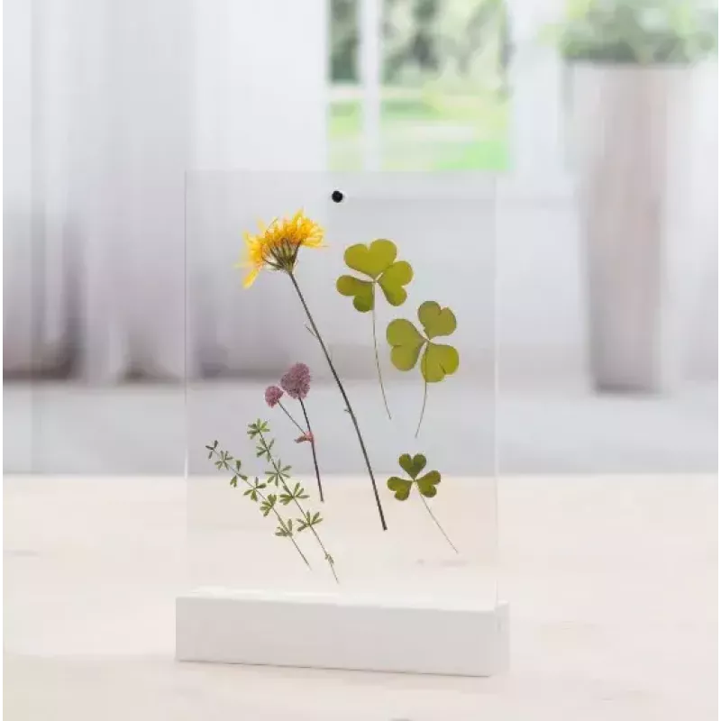 Single picture frame Hama Classic 00057743 Transparent Valge