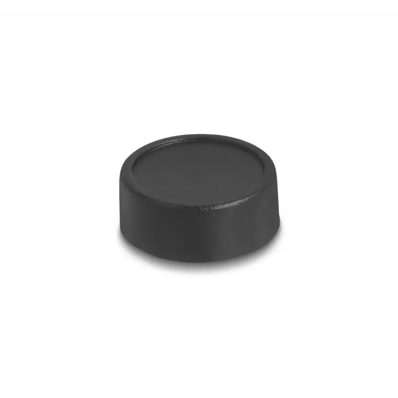 DeLOCK veebikaamera 12074 2,1 MP 1920 x 1080 USB 2.0 must