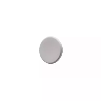 Magnet klaastahvlile Legamaster soe hall, metall, 30×7 mm, pakis 5 tk