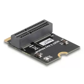 DeLOCK 64341 sisemine M.2 adapter hostiliides M.2 isane must