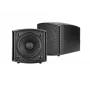 Kõlar 1-kanaline Omnitronic 11036902 must juhtmega 15 W