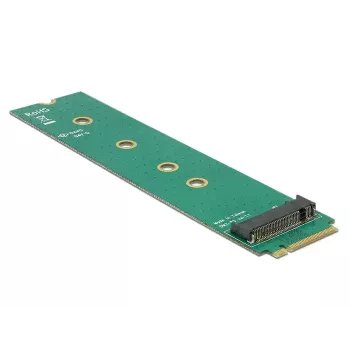 Sisemine M.2 adapter DeLOCK 65699