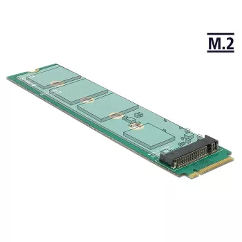 Sisemine M.2 adapter DeLOCK 65699