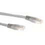 ACT hall 0,25 meetrine LSZH U/UTP CAT6A paikakaabel RJ45-pistikutega
