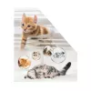 Ajakirjahoidik HERMA Stehsammler Katzen A4 kollane