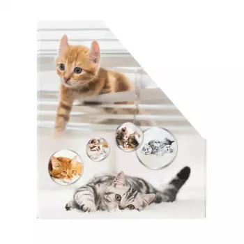 Ajakirjahoidik HERMA Stehsammler Katzen A4 kollane