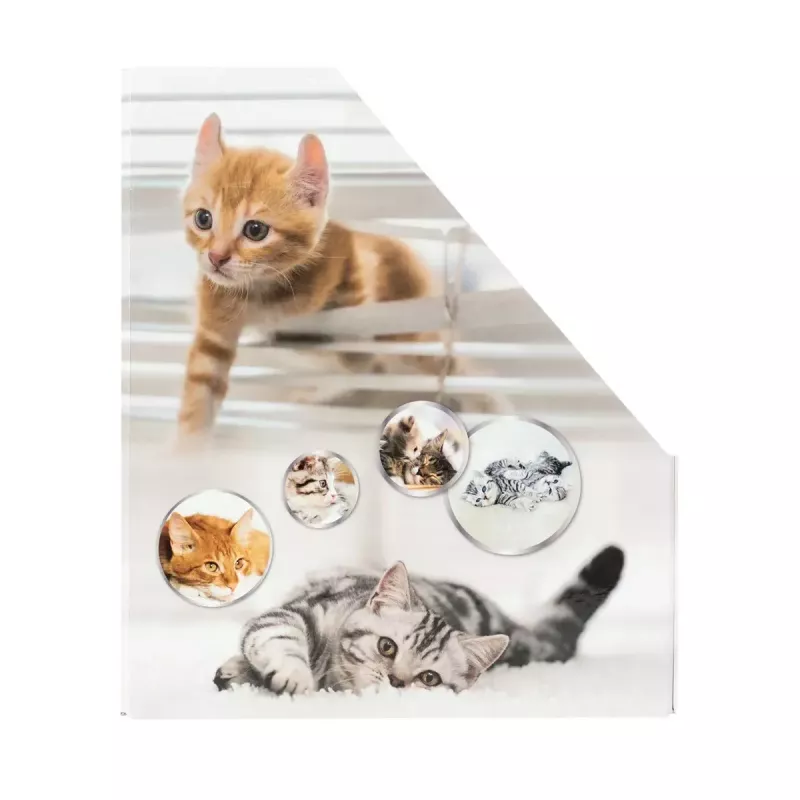 Ajakirjahoidik HERMA Stehsammler Katzen A4 kollane
