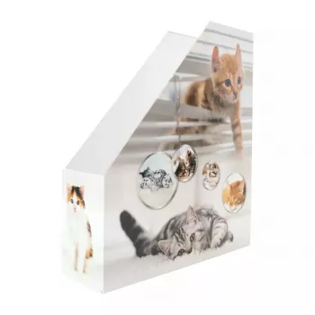 Ajakirjahoidik HERMA Stehsammler Katzen A4 kollane