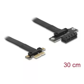 Delock 81297 PCI Express x1 Riser Card Extension kaabel 30 cm