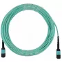 Fiiberoptiline kaabel BlueOptics CBX-STC012BPF-MXXN-MXXN-020M-MTP OM4 20m türkiissinine