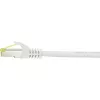 Networking kaabel Renkforce RF-4149858 0.25m Cat6a S/FTP hall