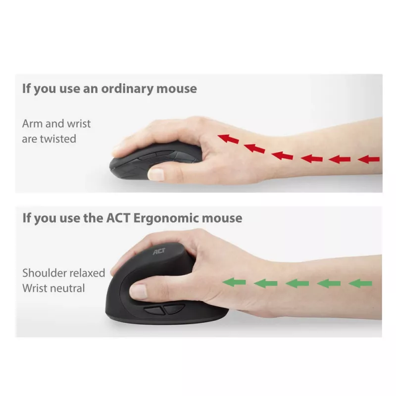 ACT juhtmevaba ergonoomiline hiir 1600 DPI RF Wireless