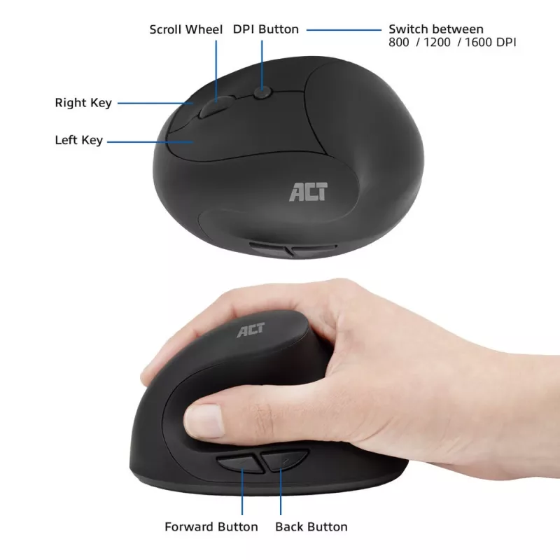 ACT juhtmevaba ergonoomiline hiir 1600 DPI RF Wireless