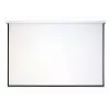 Ricoh PJ WUL5860 4000 ANSI luumenit DLP WUXGA (1920x1200) Valge
