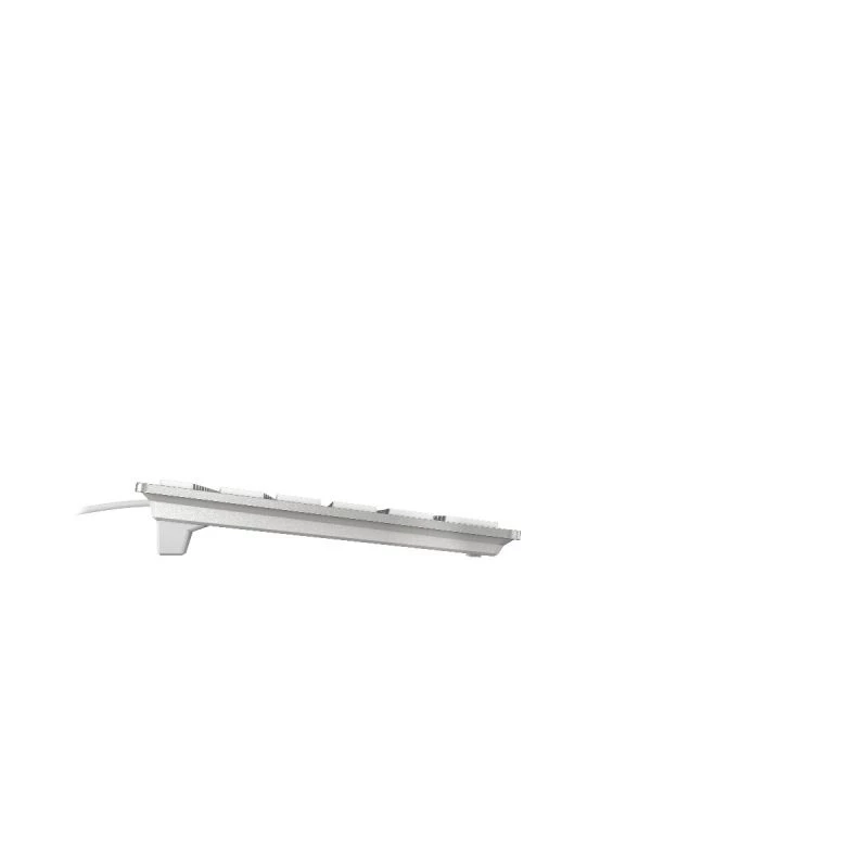 CHERRY KC 6000 õhuke FOR MAC klaviatuur kontor USB AZERTY prantsuse hõbedane