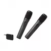 Mikrofonikomplekt JBL Wireless Two Microphone System