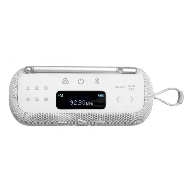Kaasaskantav raadio JBL Tuner 2 Must, analoog-digitaalne, DAB/FM