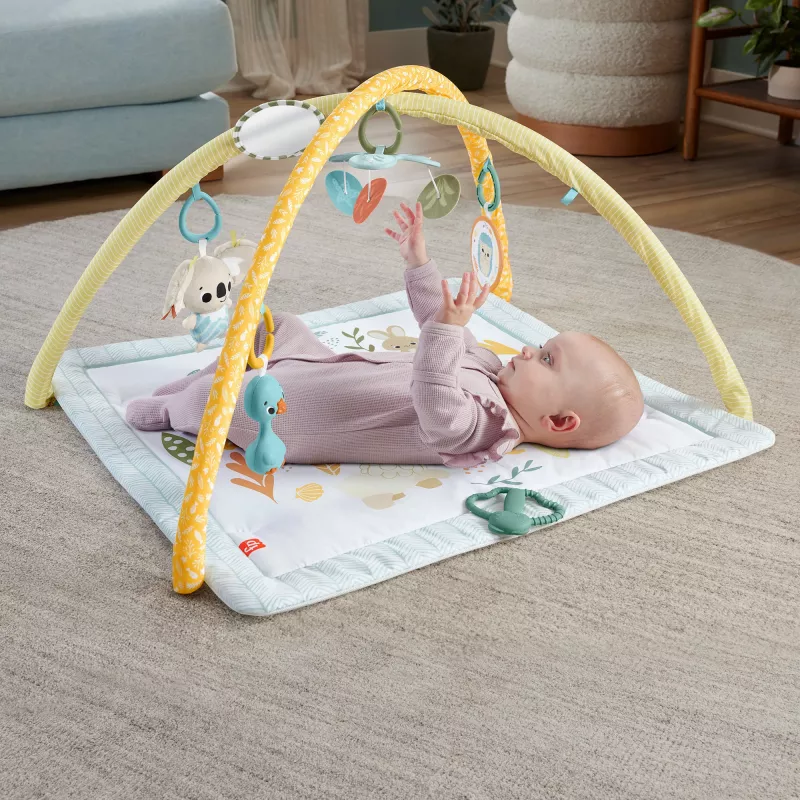 Fisher-Price Sensimals Simply Senses vastsündinu mängujõusaal, beebi tegevusmatt 6 sensoorse mänguasjaga