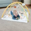 Fisher-Price Sensimals Simply Senses vastsündinu mängujõusaal, beebi tegevusmatt 6 sensoorse mänguasjaga