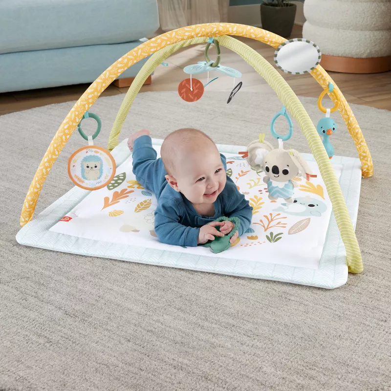 Fisher-Price Sensimals Simply Senses vastsündinu mängujõusaal, beebi tegevusmatt 6 sensoorse mänguasjaga