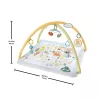 Fisher-Price Sensimals Simply Senses vastsündinu mängujõusaal, beebi tegevusmatt 6 sensoorse mänguasjaga