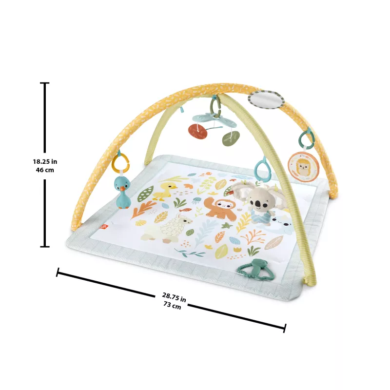 Fisher-Price Sensimals Simply Senses vastsündinu mängujõusaal, beebi tegevusmatt 6 sensoorse mänguasjaga