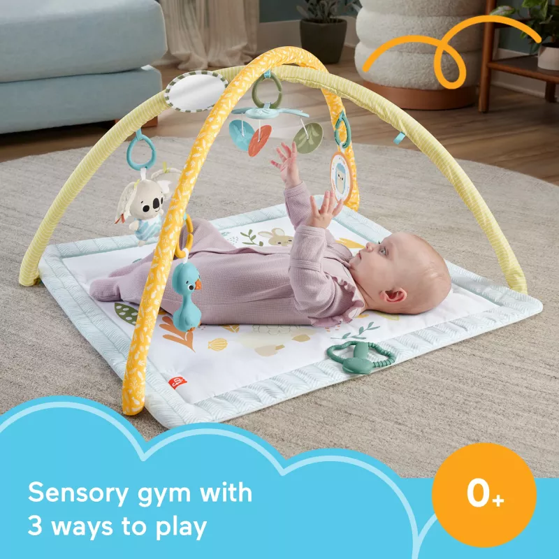 Fisher-Price Sensimals Simply Senses vastsündinu mängujõusaal, beebi tegevusmatt 6 sensoorse mänguasjaga