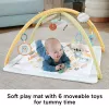 Fisher-Price Sensimals Simply Senses vastsündinu mängujõusaal, beebi tegevusmatt 6 sensoorse mänguasjaga