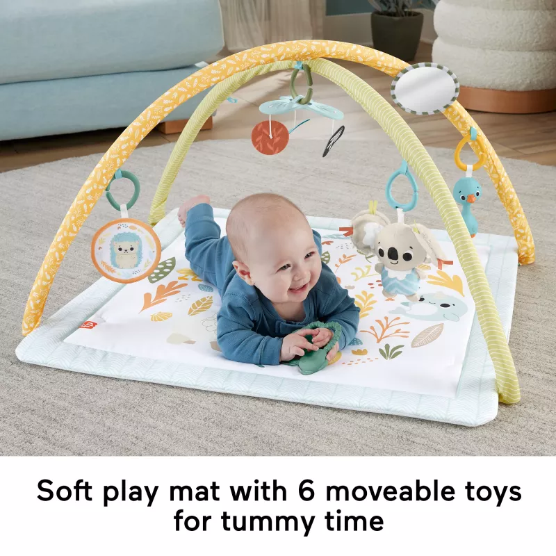Fisher-Price Sensimals Simply Senses vastsündinu mängujõusaal, beebi tegevusmatt 6 sensoorse mänguasjaga