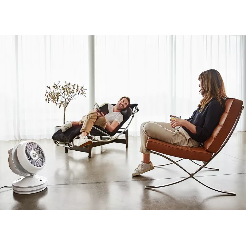 Rowenta HQ7152 Indoor Valge, Silver Fan electric space heater