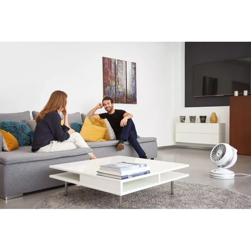 Rowenta HQ7152 Indoor Valge, Silver Fan electric space heater