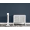 Majapidamise tornventilaator Rowenta Eole VU6871 Valge 40W AC 220-240V