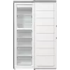 Gorenje FN619EAXL6 sügavkülmik Püstsügavkülmik Eraldiseisev 280 L Hall