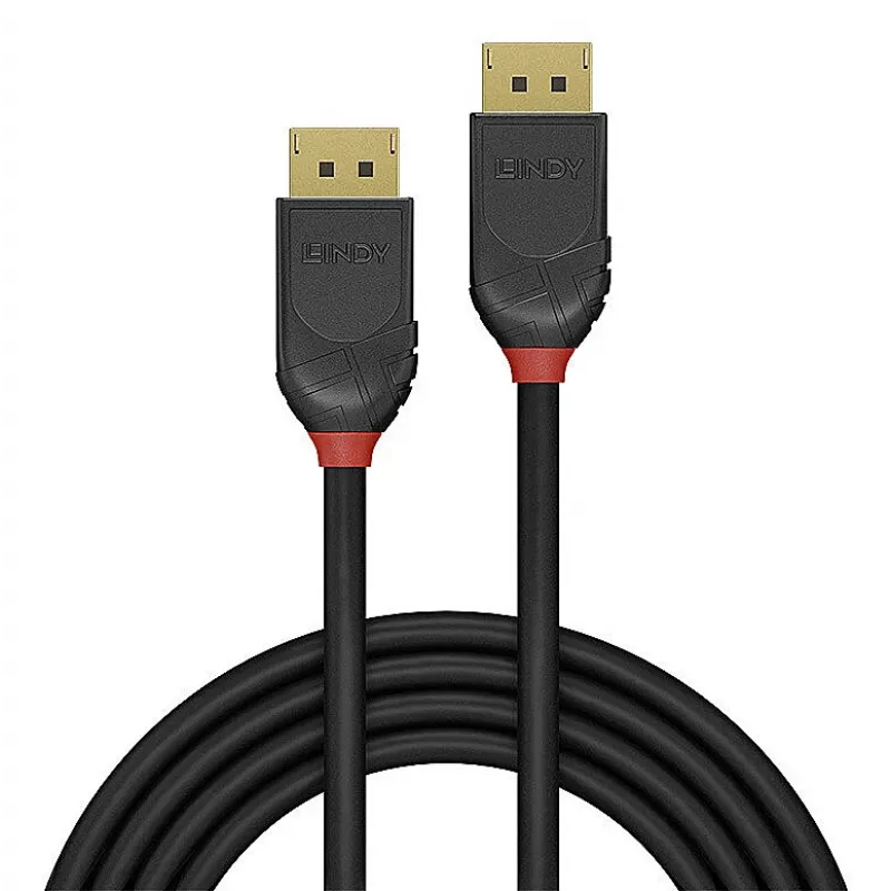 Lindy 36521 DisplayPorti kaabel 2 m Must
