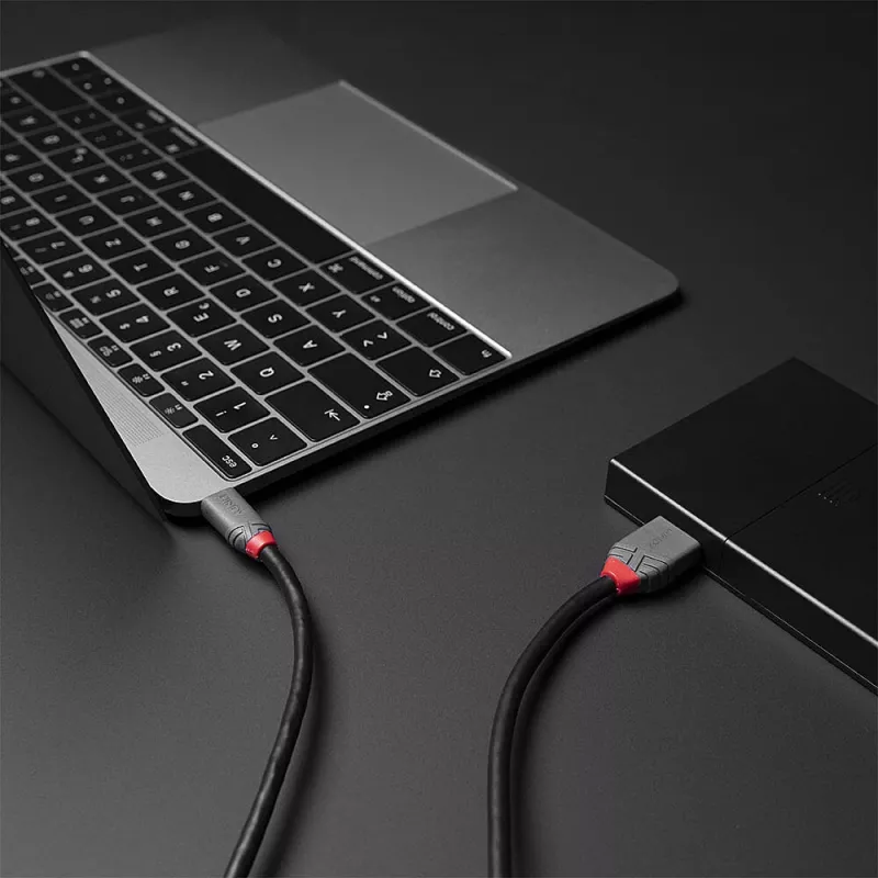 Lindy 2m USB 3.2 Type C to Micro-B kaabel, Anthra Line, 2 m, USB C, Micro-USB B, USB 3.2 Gen 1 (3.1 Gen 1), Must