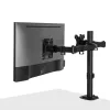 Lindy Dual Adjustable Display Mount, 8 kg, 33 cm (13 tolli), 81,3 cm (32 tolli), 75 x 75 mm, 100 x 100 mm, Must