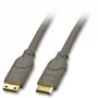 Lindy 0.5m HDMI CAT2 HDMI kaabel HDMI Type C (Mini) Must