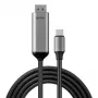 Lindy 43504 videokaabli adapter 2 m USB USB-C DisplayPort Hall