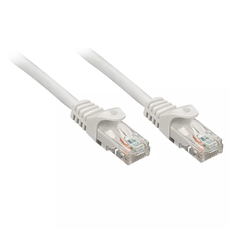 Lindy 48401 võrgukaabel Hall 1 m Cat5e U/UTP (UTP)