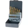 Puurikomplekt KWB 421856 19 tk keerupuurid 1,0 - 10 mm