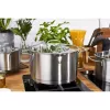 ZWILLING Multi Pot TrueFlow 66920-004-0 — roostevabast terasest pott klaaskaanega, nõudepesumasinakindel ja ahjukindel, sobib halogeenpliitidele