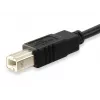 Equip USB 2.0 Type C - Type B kaabel, 1 m, USB B, USB C, USB 2.0, isane/isane, must