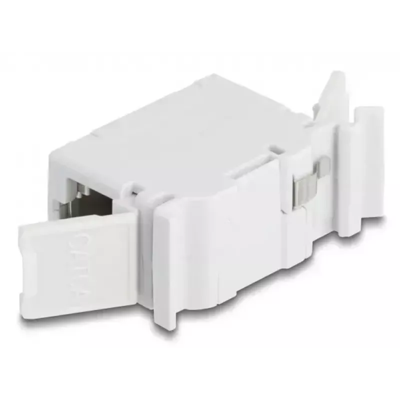 DeLOCK 90768 võtmemoodul Lame Hall RJ-45